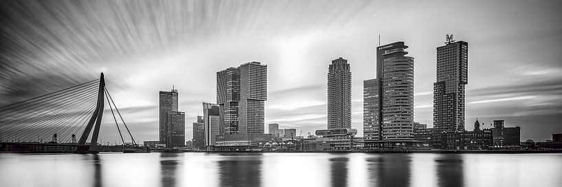Skyline van Rotterdam met de kop van zuid van eric van der eijk