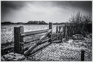 Clôture sur Freddy Hoevers