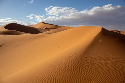 Mooie zandduinen in de woestijn van de Sahara, Marokko, Afrika