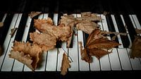 That Old Piano I