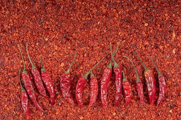 Red chilli by Ulrike Leone