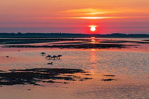 Sonnenaufgang im Wattenmeer auf der Insel Amrum