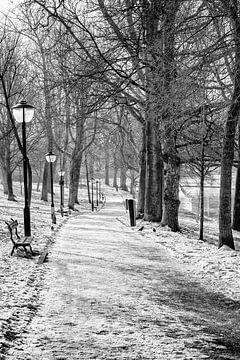 Winter in Utrecht. Wandelen in het Zocherpark. van André Blom Fotografie Utrecht
