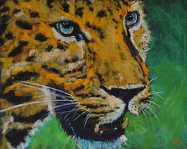 Léopard sur Wim's Pastelart