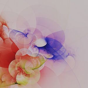 Regenbogenblume 2