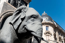 Elefantenbrunnen in Chambéry von Richard Wareham