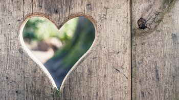 Forme de coeur sculpté dans des essences de bois décoratives