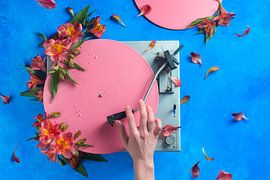 Frühlingsrekord von Dina Belenko