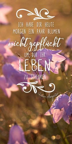 Words of wisdom: I have given you ... Christian Morgenstern