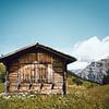 Holzhütte in den Bergen, Schweiz | Verlassenes Haus in den Schweizer Alpen | Grüne und blaue Reisefo von Ilse Stronks | Lines and light inspired travel photography