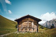 Houten hut in de bergen, Zwitserland | Verlaten huis in de Zwitserse Alpen | Groene en blauwe reisfo van Ilse Stronks | Lines and light inspired travel photography thumbnail