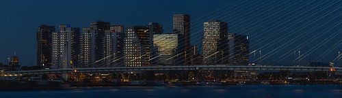 Panoramablick Rotterdam - Erasmusbrücke