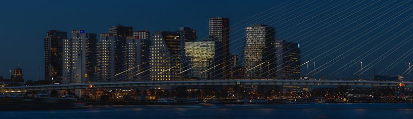 Panoramablick Rotterdam - Erasmusbrücke von Johan Landman