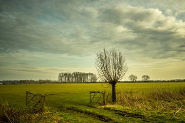 De Ooijpolder bij Nijmegen