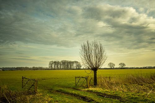 De Ooijpolder bij Nijmegen