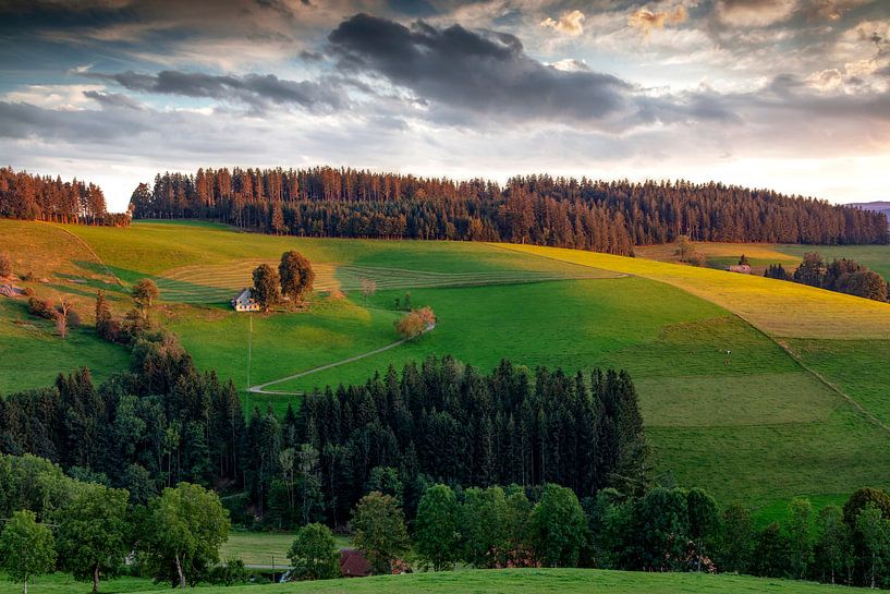 Einsamkeit von Jürgen Wiesler