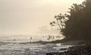Pêche au coucher du soleil