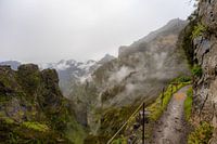 Wanderweg vom Pico do Ariro zum Pico Ruivo