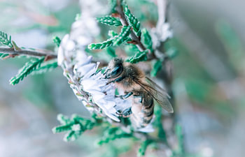 Colourful Nature - Nature photography 2