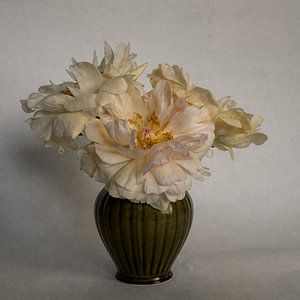 Pfingstrosen in einer Vase