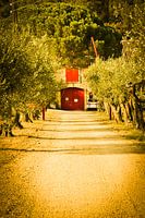 Southern Europe