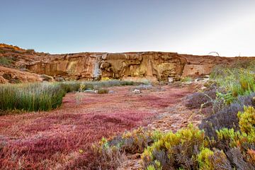 Landscape photograph salt desert by VIDEOMUNDUM