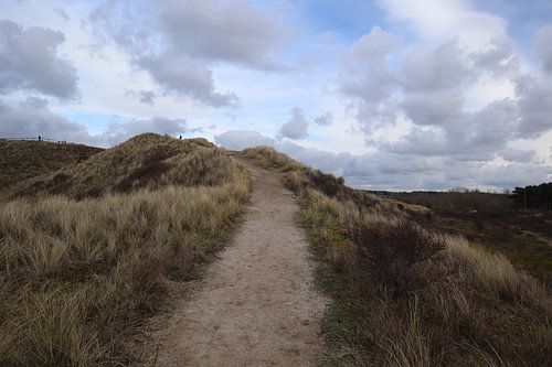 Bloemendaal aan Zee