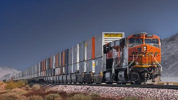 Güterzug der BSNF in Kalifornien by Kurt Krause