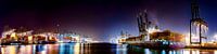 Panorama van de havens van Antwerpen van 2BHAPPY4EVER.com photography & digital art thumbnail