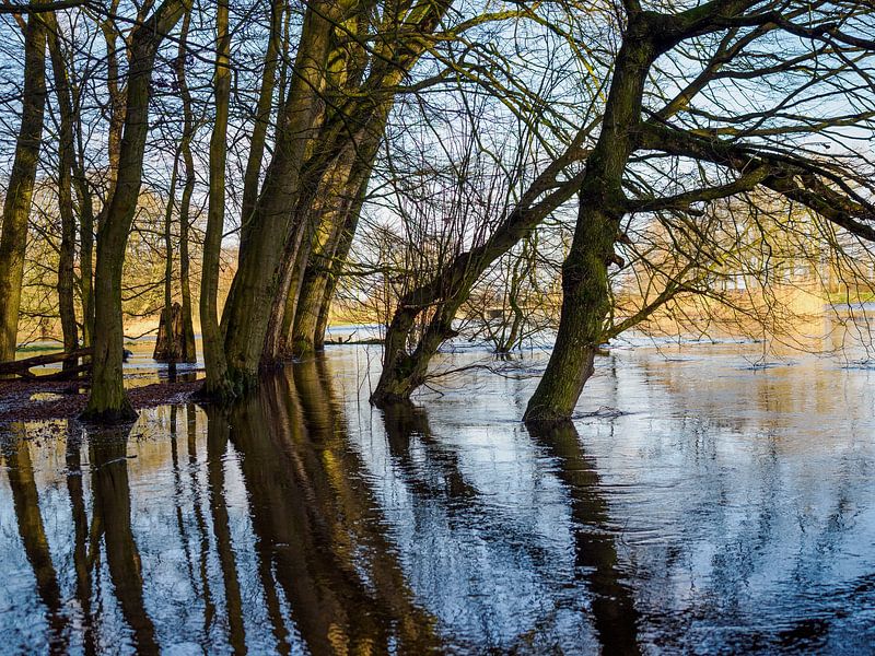 High water of the Dommel river by Roelof Aleva