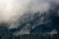 Mistige Magie: Berglandschap in Oostenrijk
