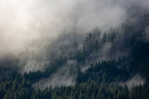 Nebelige Magie: Berglandschaften in Österreich