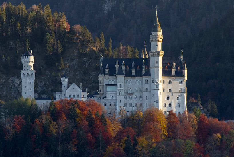 S c h l o ߟ Neuschwanstein van Andreas Stach