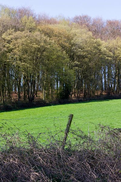 heuvelland3 by Arno Photo