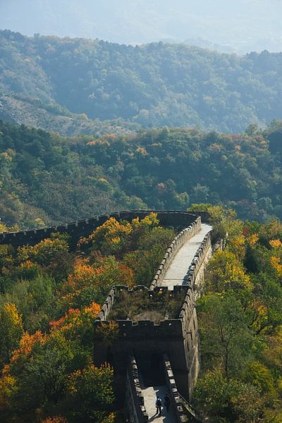 great wall and the tower in the forest.  The wall passes through the tops of the hills covered with  by Michael Semenov