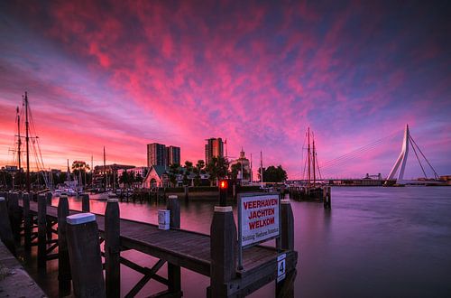 Veerhaven Rotterdam bei Sonnenuntergang von Ilya Korzelius
