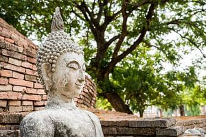 Boeddha in de tempel van Thailand
