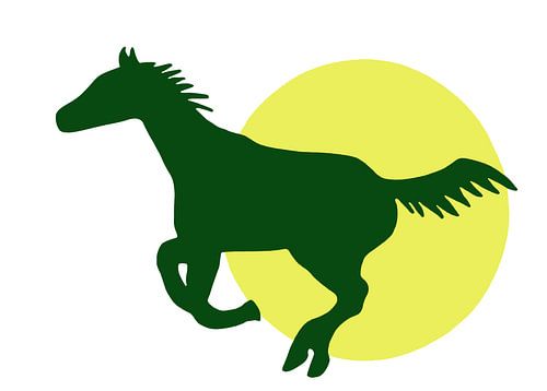 Pferd - Freund - Sonne