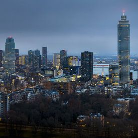 Skyline Rotterdam tijdens het blauwe uur