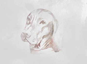Watercolor of a Vizsla dog for industrial interior with concrete look