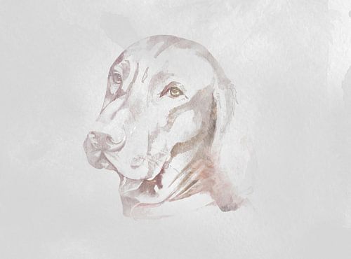 Aquarel van een Vizsla hond voor industrieel interieur met betonlook u