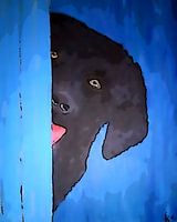 peek a boo blue comic