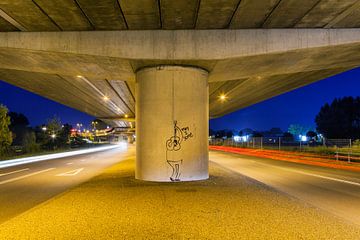 Onder het viaduct ringweg 050 Groningen van Evert Jan Luchies