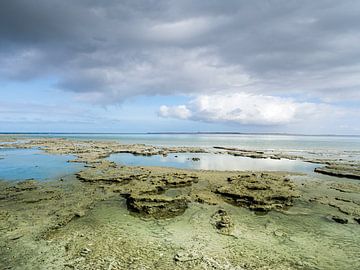 Trockenes friesisches Wattenmeer in der Nähe des Meereslochs von Jan Huneman