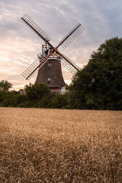 Moulin à vent au coucher du soleil dans un champ de céréales par Jens Sessler