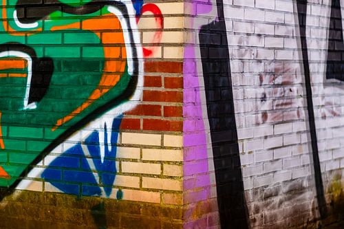 Painted bricks van Nildo Scoop