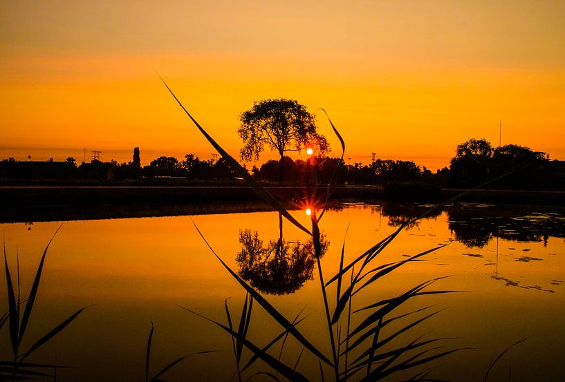 Zon op zien komen vanuit Moerenburg Tilburg by Freddie de Roeck