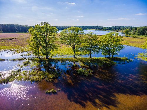 Galderse Heide, Breda The Netherlands - Aerial Shot
