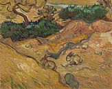 Vincent van Gogh, Landschap met konijnen van 1000 Schilderijen thumbnail