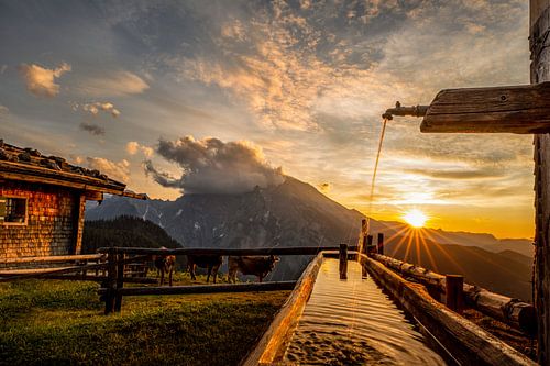 Idyllische zonsondergang op de bergweide
